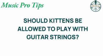 The Hidden Dangers: Should Kittens Play with Guitar Strings?