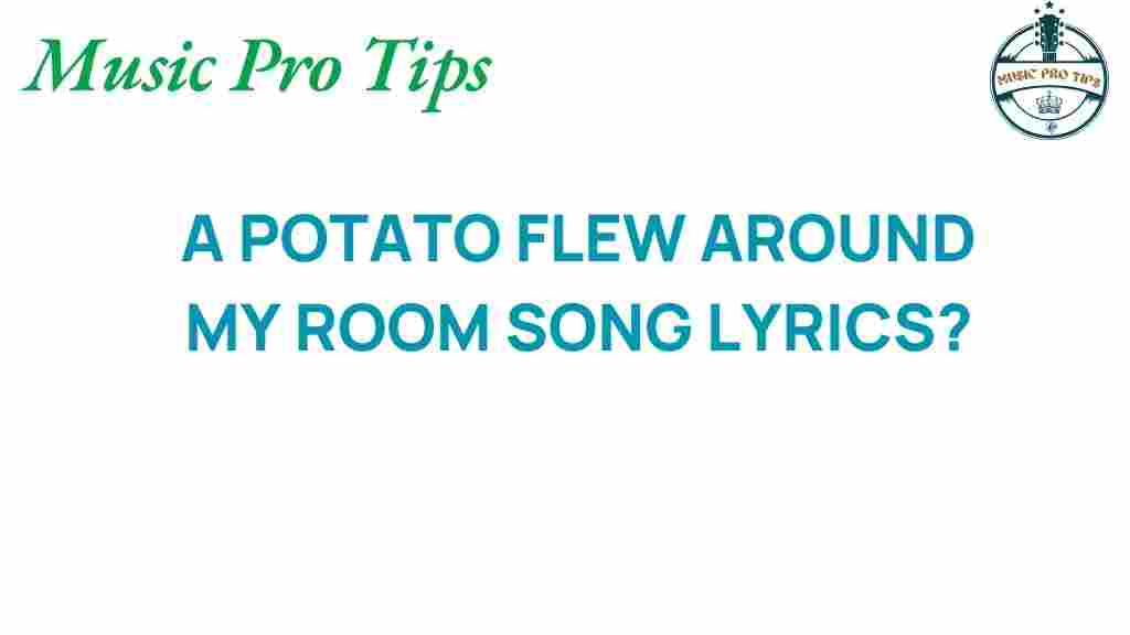 potato-flew-around-my-room