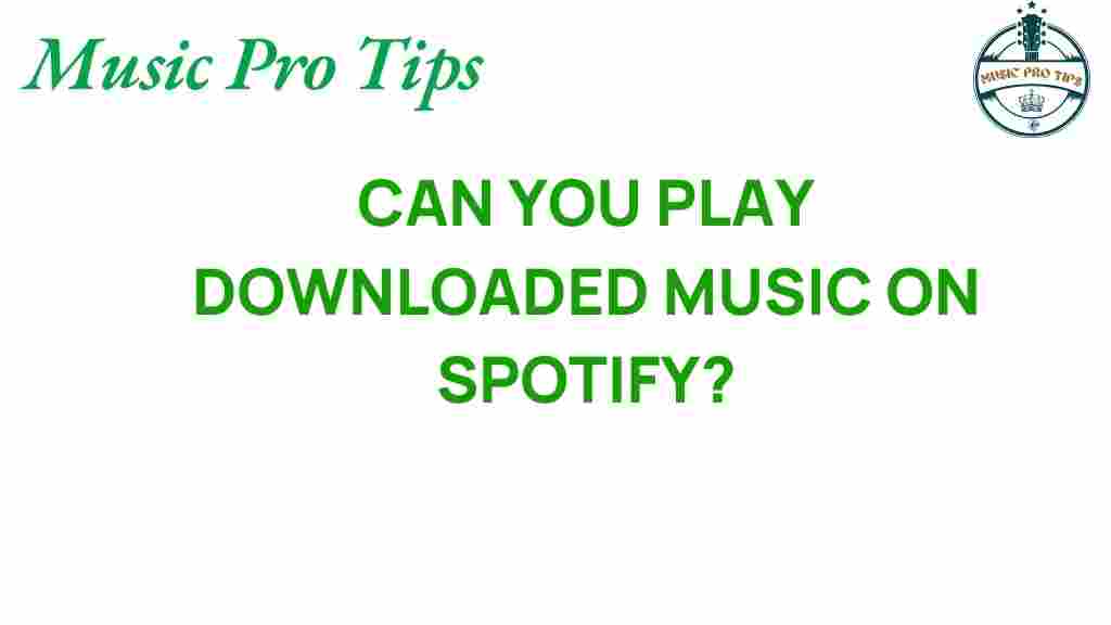downloaded-music-spotify