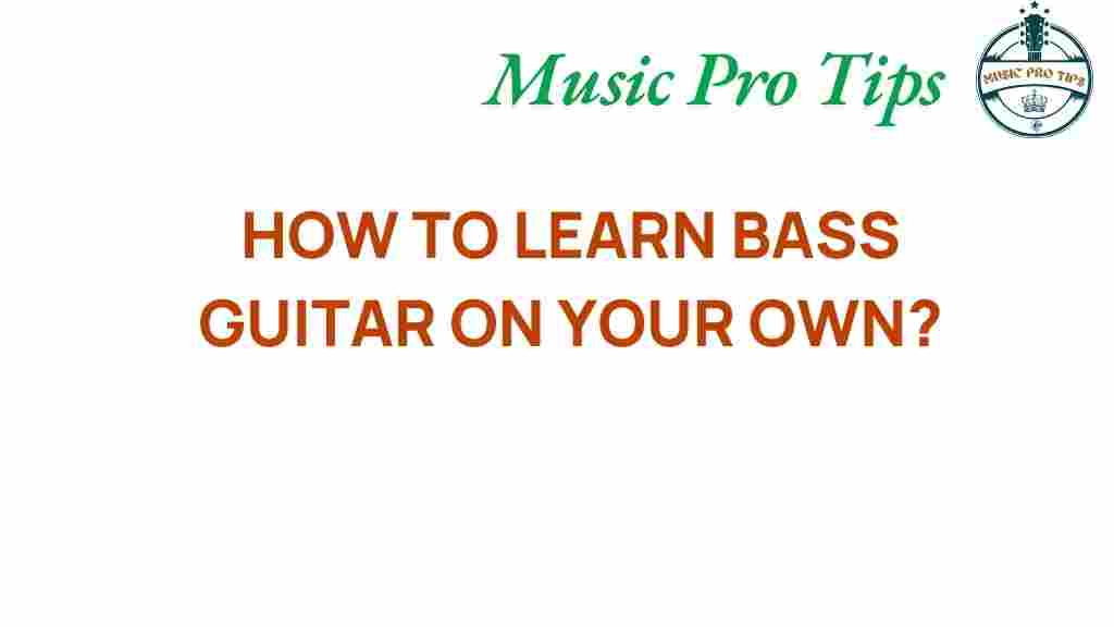 learn-bass-guitar-on-your-own