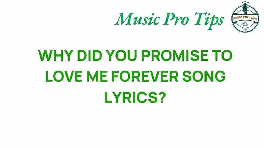 why-did-you-promise-to-love-me-forever